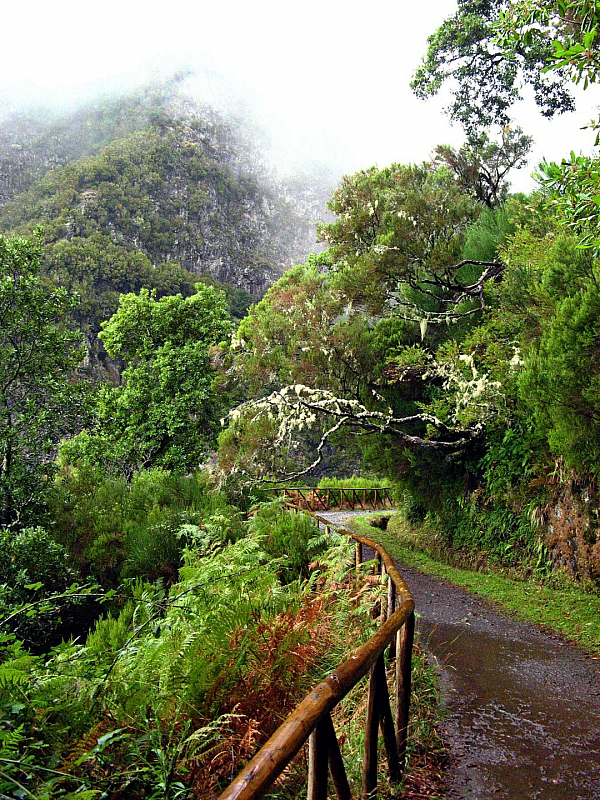 Levada de Risco (Madeira - Portugalsko)