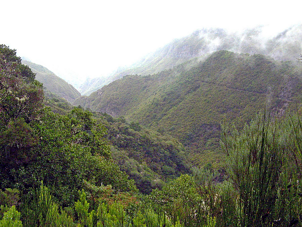 Levada de Risco (Madeira - Portugalsko)