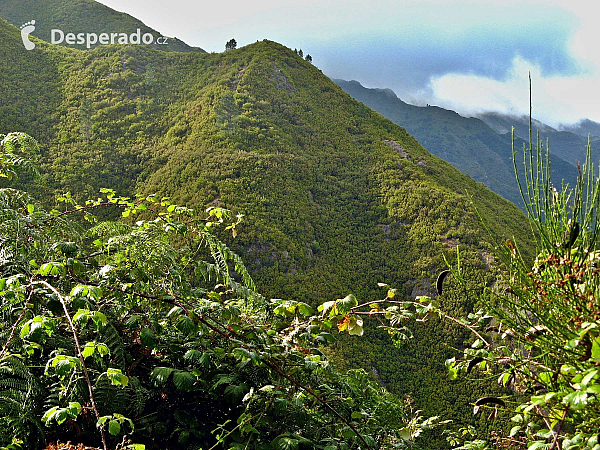 Levada de Risco (Madeira - Portugalsko)