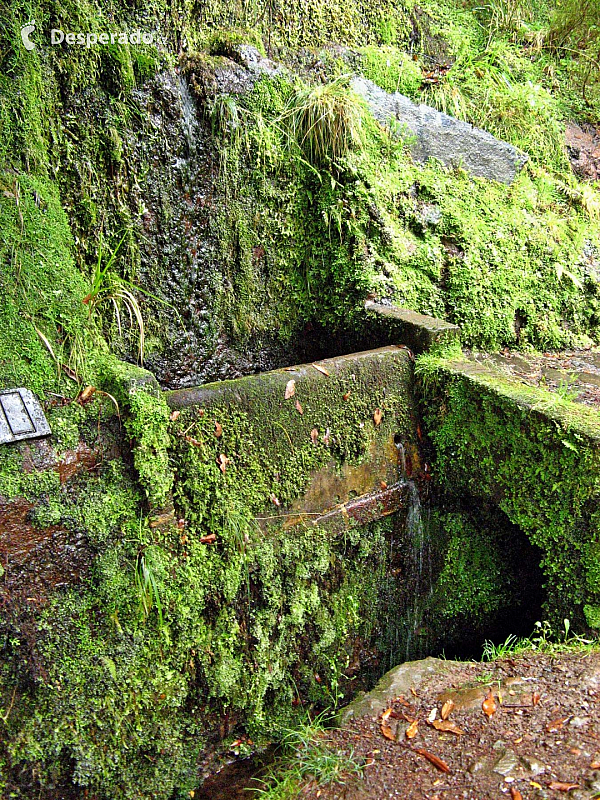 Levada de Risco (Madeira - Portugalsko)