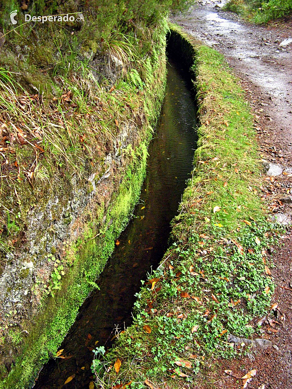 Levada de Risco (Madeira - Portugalsko)