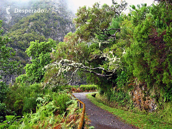 Levada de Risco (Madeira - Portugalsko)