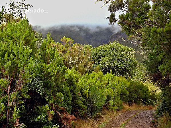 Levada de Risco (Madeira - Portugalsko)