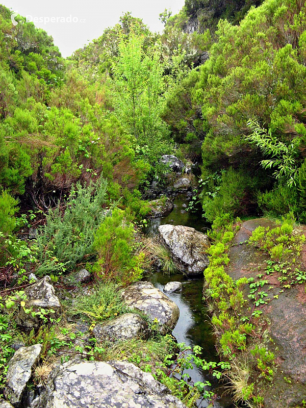 Levada de Risco (Madeira - Portugalsko)