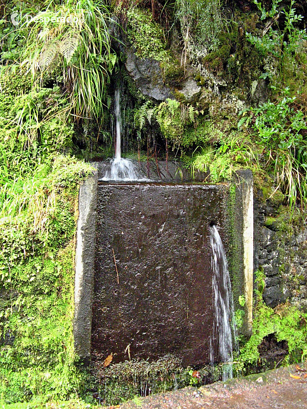 Levada de Risco (Madeira - Portugalsko)