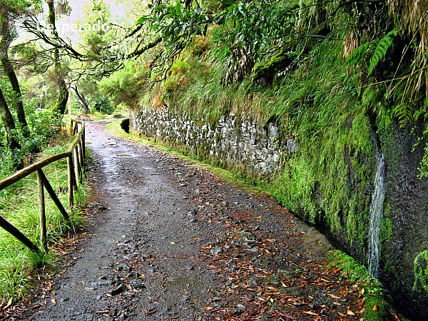 Levada de Risco (Madeira - Portugalsko)