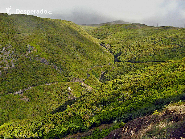 Levada de Risco (Madeira - Portugalsko)