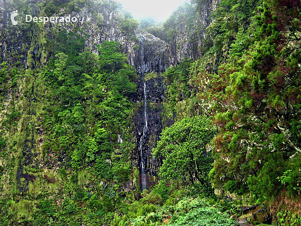 Levada de Risco (Madeira - Portugalsko)