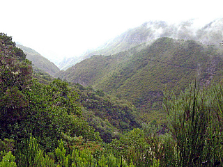 Levada de Risco (Madeira - Portugalsko)