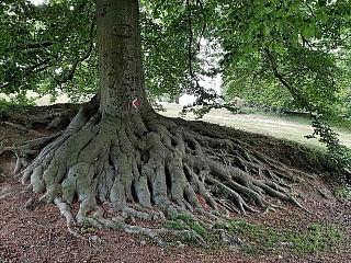 Zámek Hradec nad Moravicí (Opavsko - Česká republika)