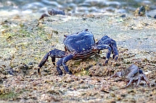 Lagos (Algarve - Portugalsko)