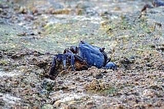 Lagos (Algarve - Portugalsko)