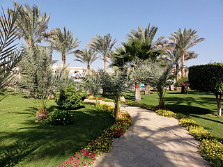 Hotel Brayka Bay Resort v Marsa Alam (Egypt)