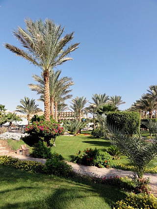 Hotel Brayka Bay Resort v Marsa Alam (Egypt)