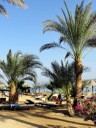 Hotel Brayka Bay Resort v Marsa Alam (Egypt)