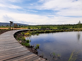 Božídarské rašeliniště (Česká republika)