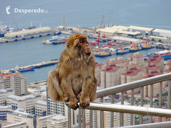 Gibraltar (Velká Británie)