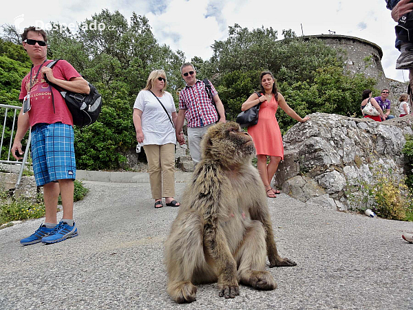 Gibraltar (Velká Británie)