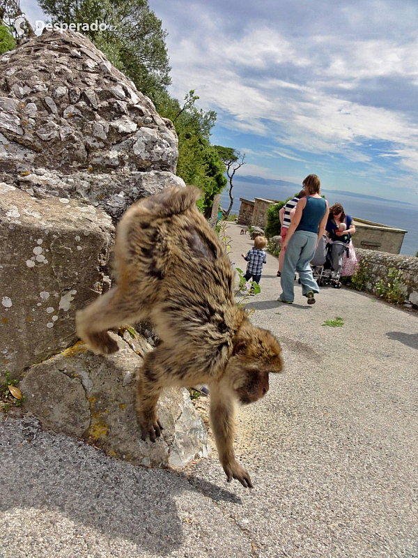 Gibraltar (Velká Británie)