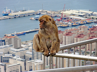Gibraltar (Velká Británie)