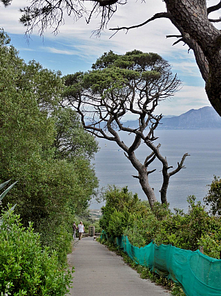 Gibraltar (Velká Británie)