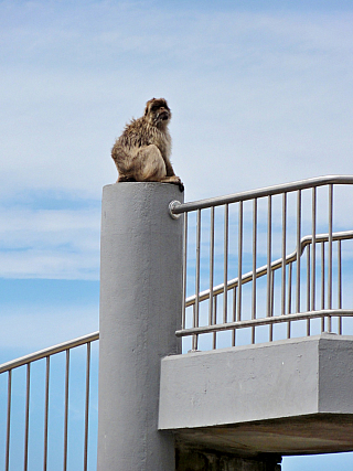 Gibraltar (Velká Británie)