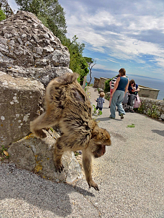 Gibraltar (Velká Británie)
