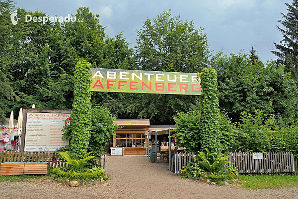 Affenberg Landskron - opičí park (Korutany - Rakousko)