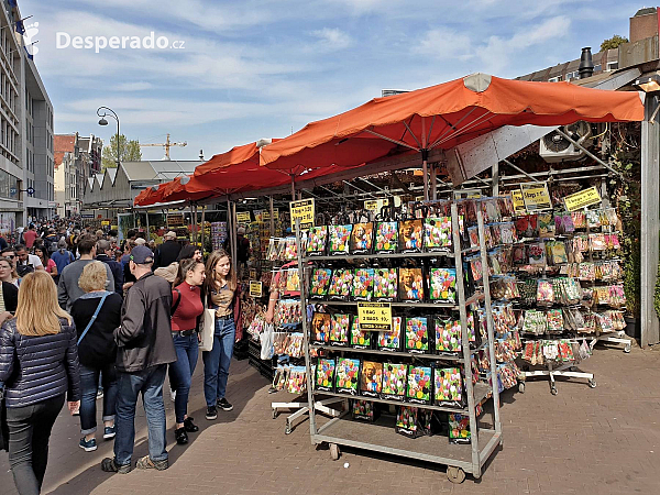 Amsterdam (Nizozemsko)