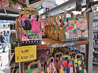 Amsterdam (Nizozemsko)