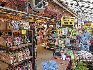 Amsterdam (Nizozemsko)