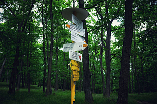 Veľký Lysec  (Slovensko)