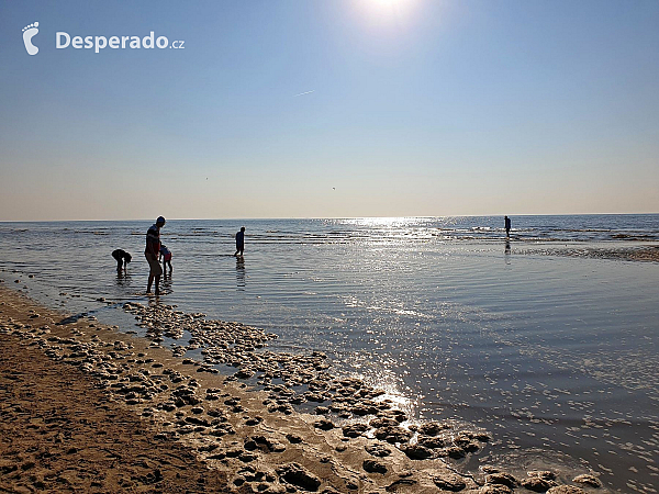 Noordwijk (Nizozemsko)