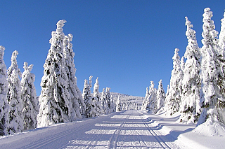Zimní dovolená spojená s novoroční oslavou je oblíbeným tématem