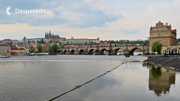 Praha (Česká republika)