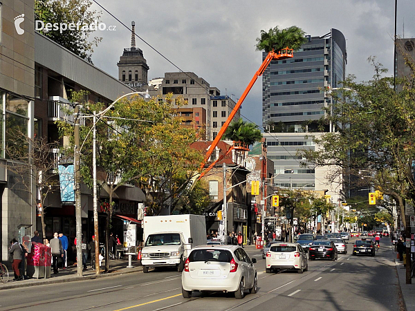 Toronto (Ontario - Kanada)