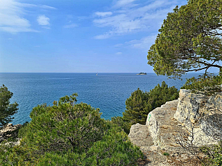 Rovinj (Istrie - Chorvatsko)