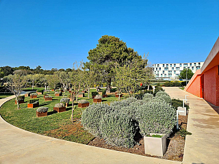 Rovinj (Istrie - Chorvatsko)