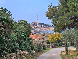 Rovinj (Istrie - Chorvatsko)