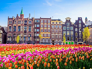 Amsterdam je plný tulipánů a historických skvostů (Nizozemsko)