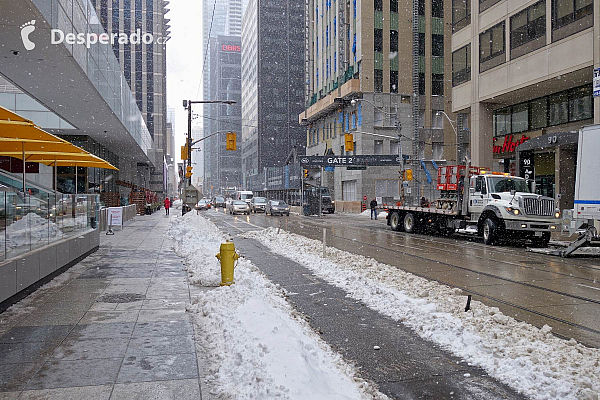 Toronto (Ontario - Kanada)