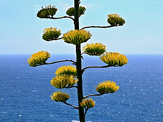 Bonifacio (Korsika - Francie)