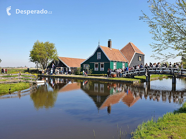 Zaandam (Nizozemsko)