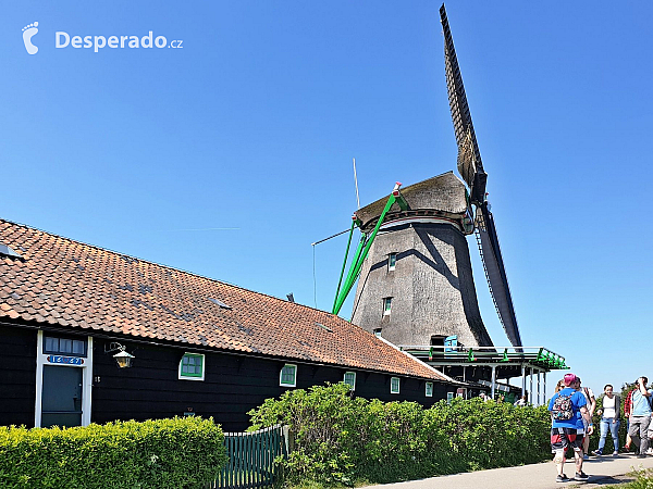 Zaandam (Nizozemsko)