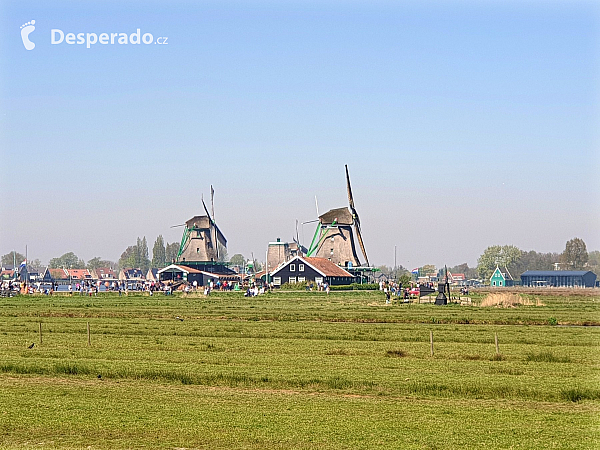 Zaandam (Nizozemsko)