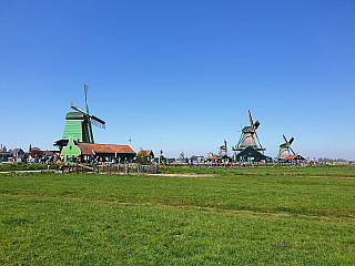 Zaandam (Nizozemsko)
