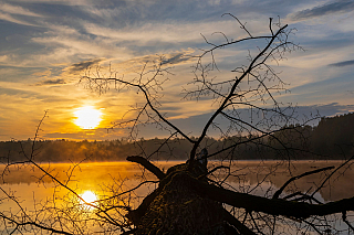 Jarní dovolená v Česku vás ráda pozve i na jih do Třeboně