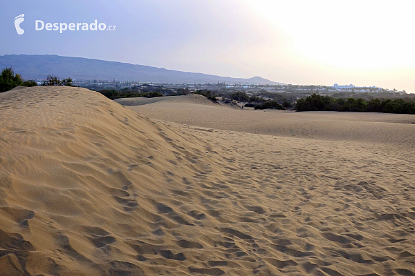 Písečné duny v Maspalomas (Gran Canaria - Španělsko)