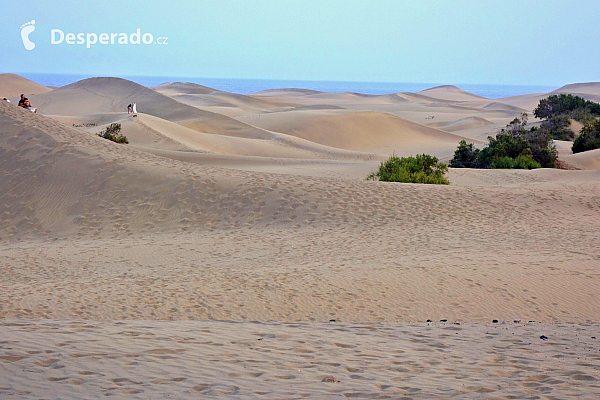 Písečné duny v Maspalomas (Gran Canaria - Španělsko)