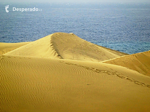 Písečné duny v Maspalomas (Gran Canaria - Španělsko)